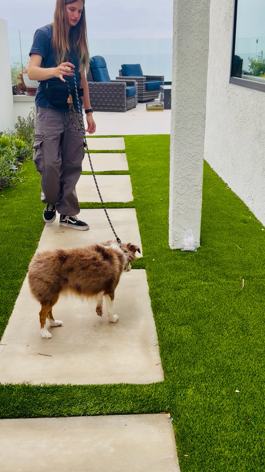 Snake School trainer Helena handling a dog during a private rattlesnake avoidance session in Capistrano Beach