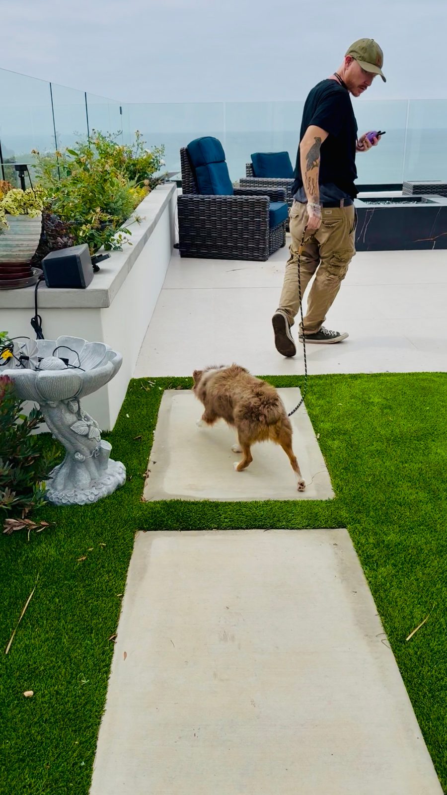 Private rattlesnake avoidance training session at Capistrano Beach