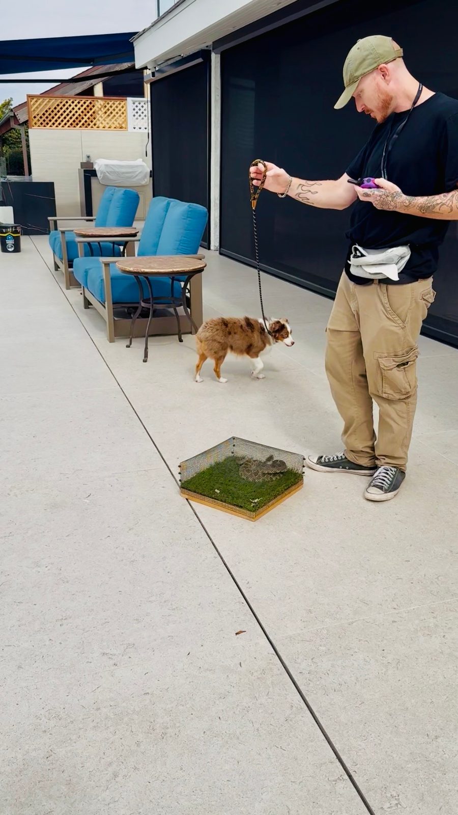 Private rattlesnake avoidance training session at Capistrano Beach