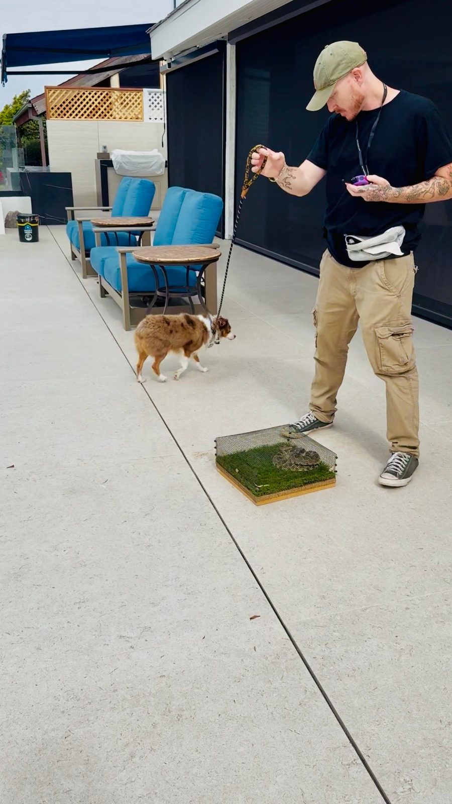 Private rattlesnake avoidance training session at Capistrano Beach
