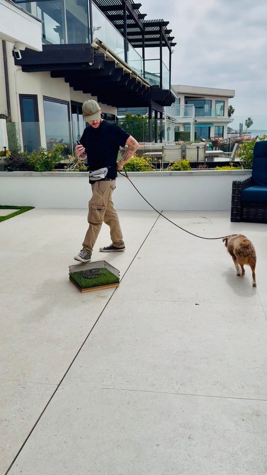 Private rattlesnake avoidance training session at Capistrano Beach