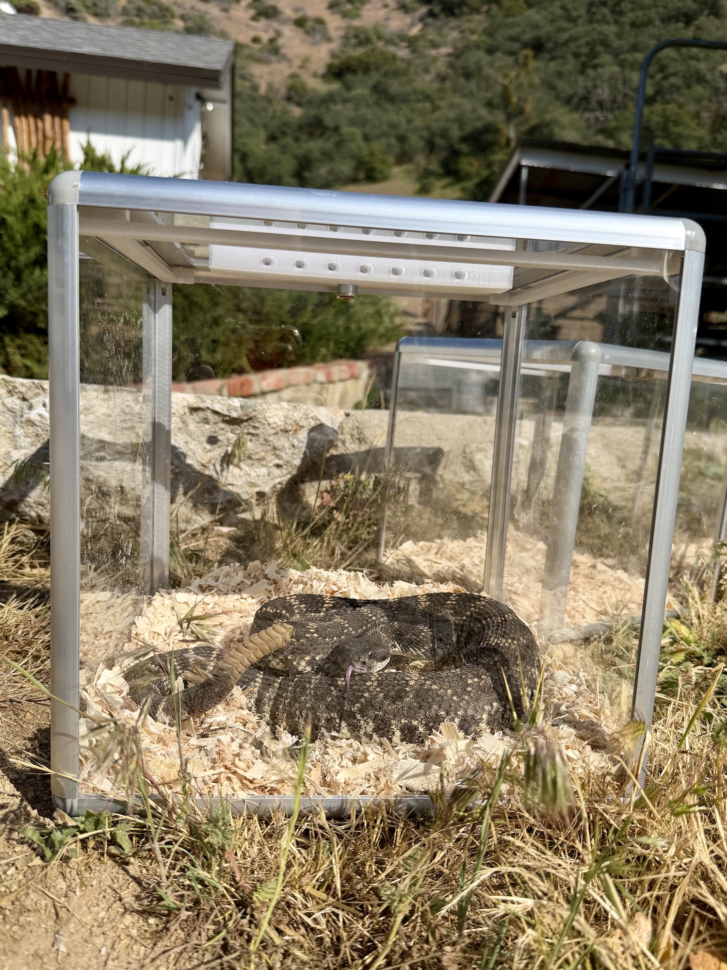 Secure rattlesnake containment unit used during training