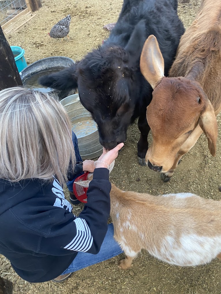 Polsa Rosa Ranch — Acton, CA