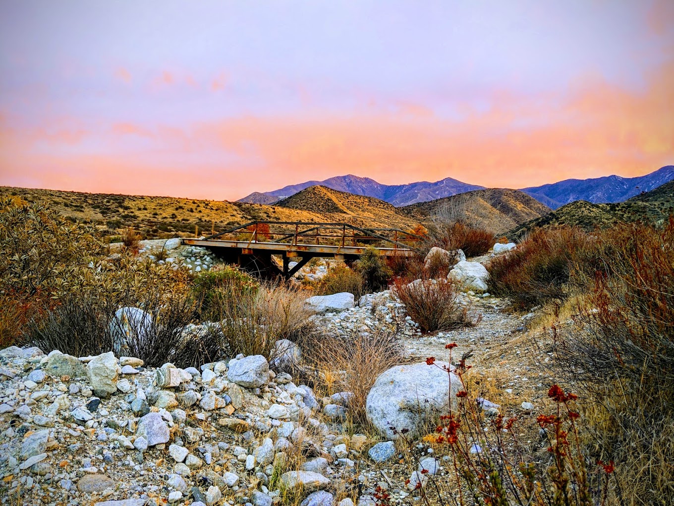 Polsa Rosa Ranch — Acton, CA