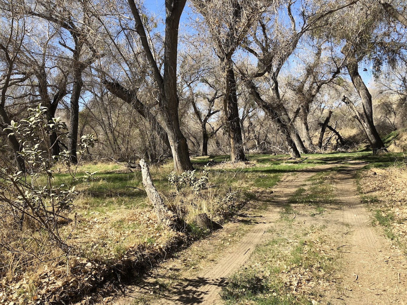 Polsa Rosa Ranch — Acton, CA