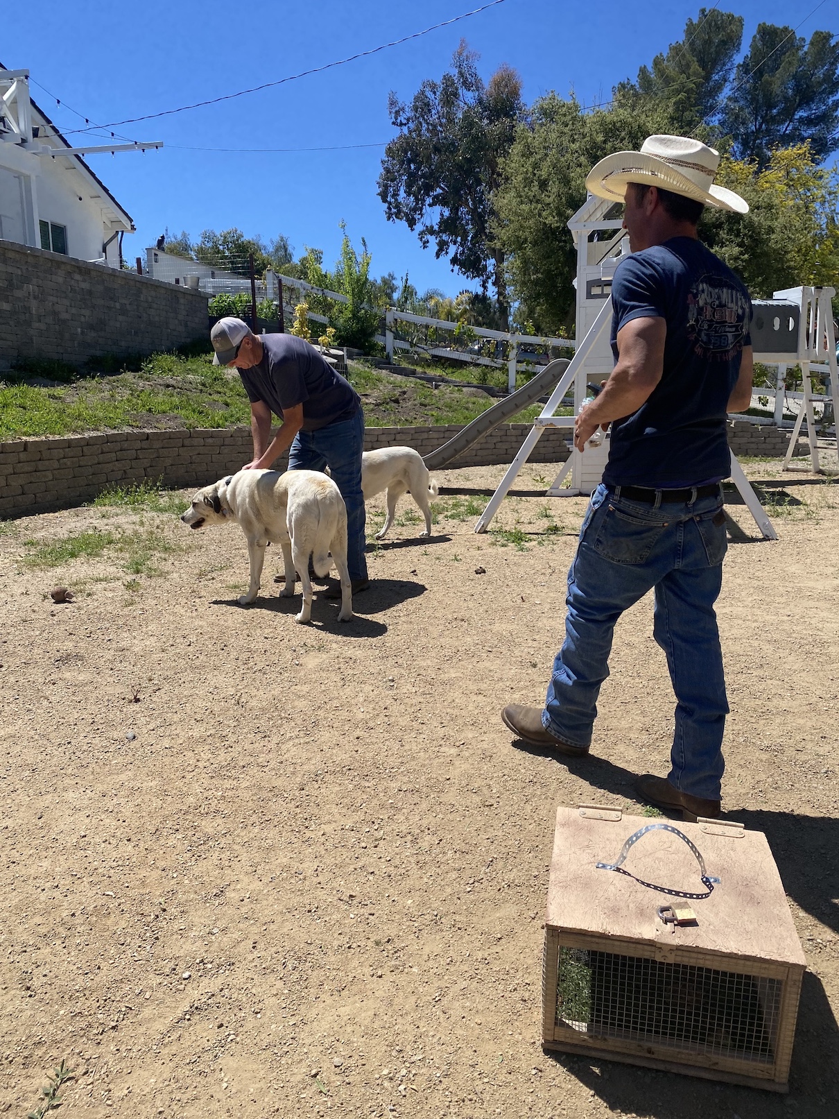 Lead Trainer Shane Armstrong working a live-rattlesnake training set