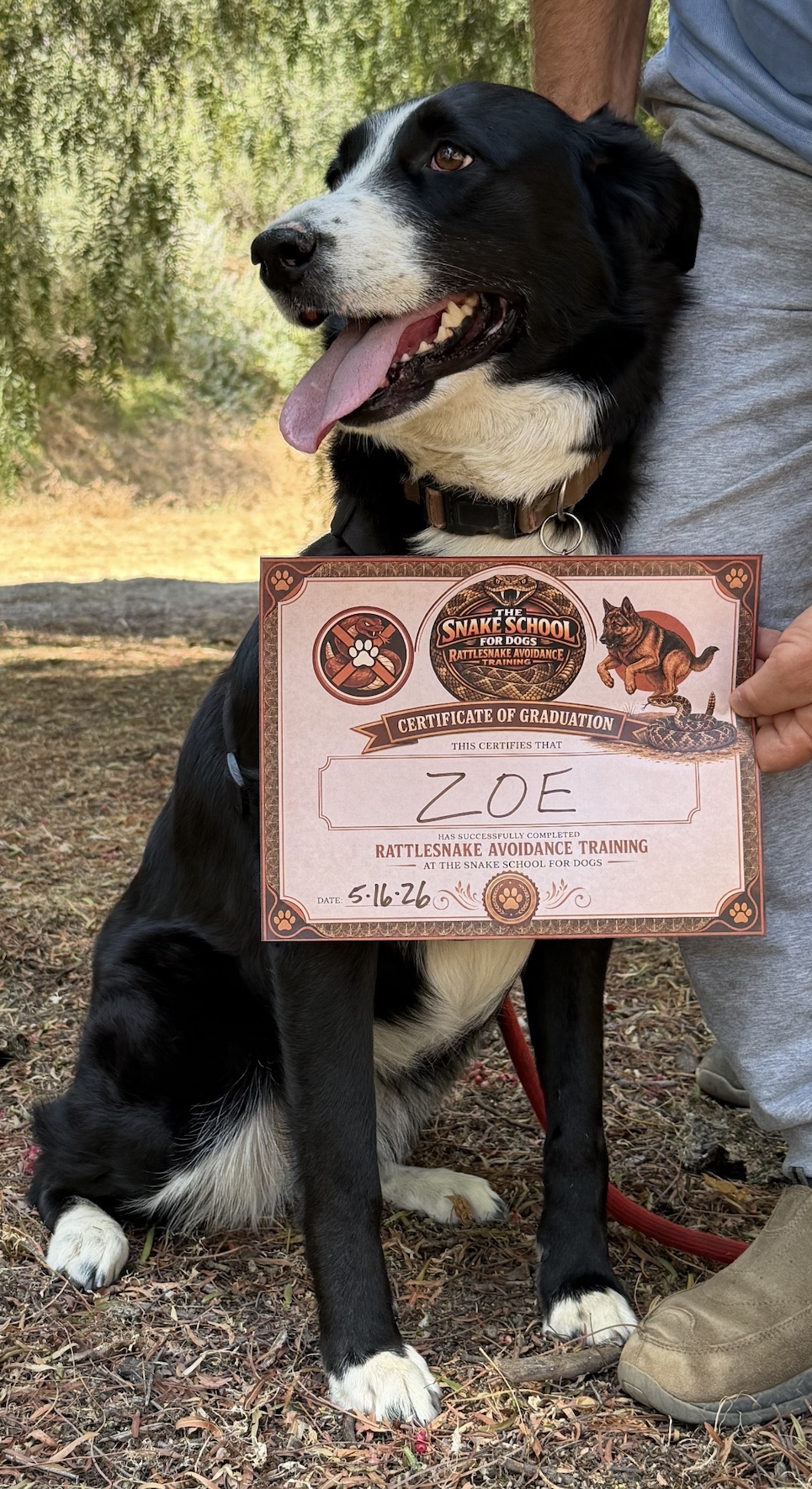 Zoe — Snake School graduate with diploma