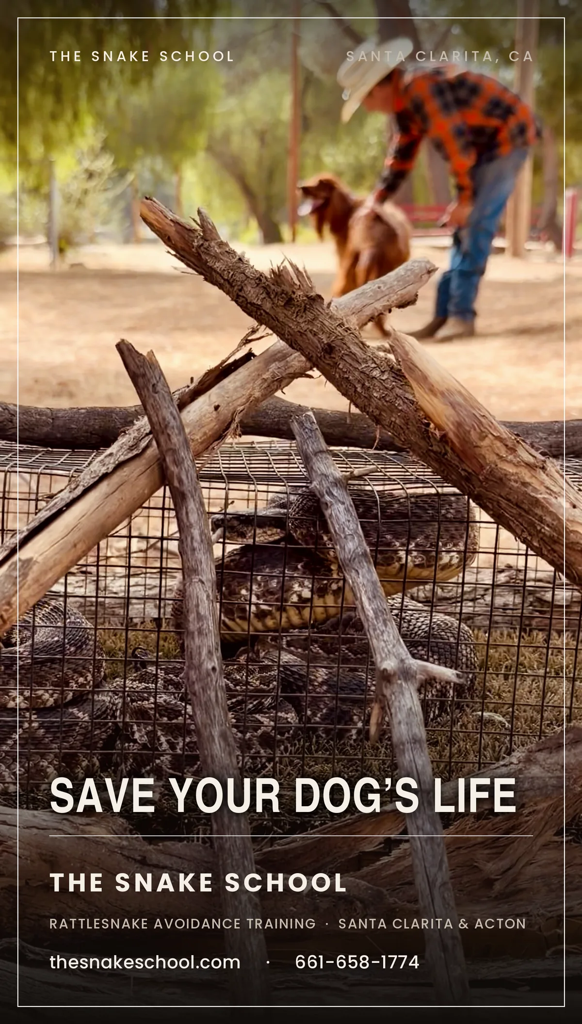 Save Your Dog's Life — The Snake School rattlesnake avoidance training, Santa Clarita & Acton