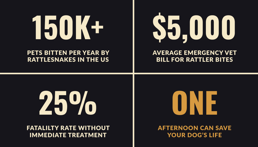 The Snake School Business Card Back