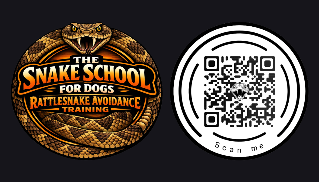 The Snake School Business Card Front