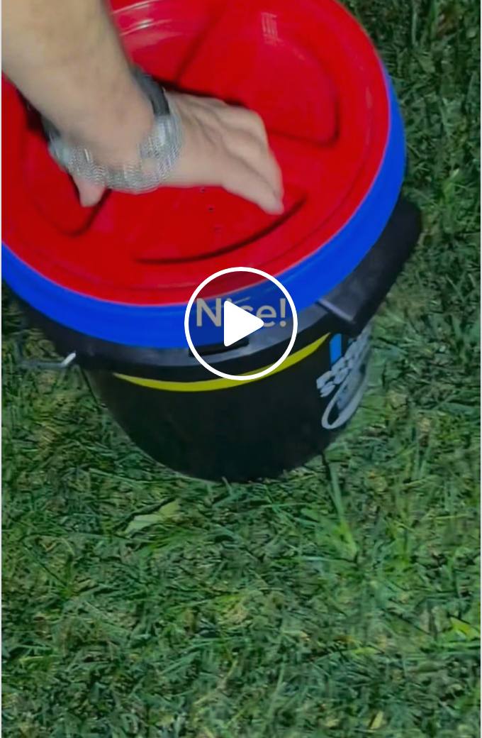A massive rattlesnake secured in a bucket after a Santa Clarita removal