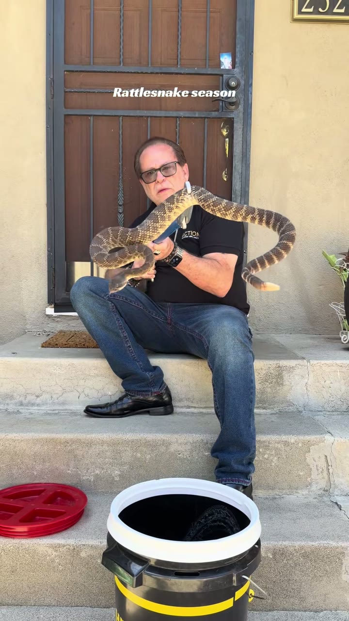 Cary Quashen holding a large rattlesnake with tongs on a front porch, a bucket ready