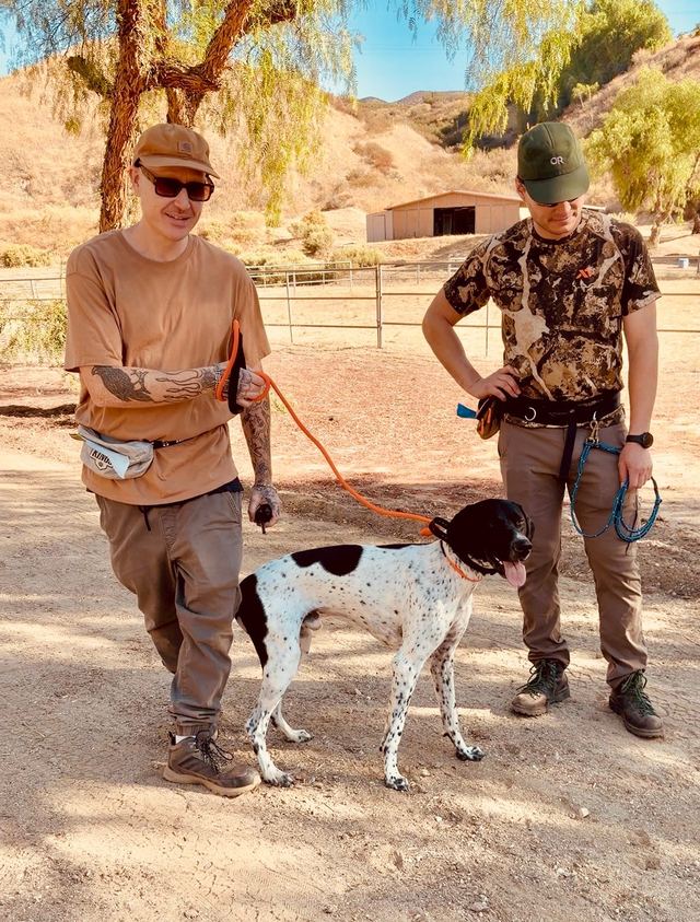 Snake School trainers with a German shorthaired pointer during rattlesnake avoidance training in Santa Clarita