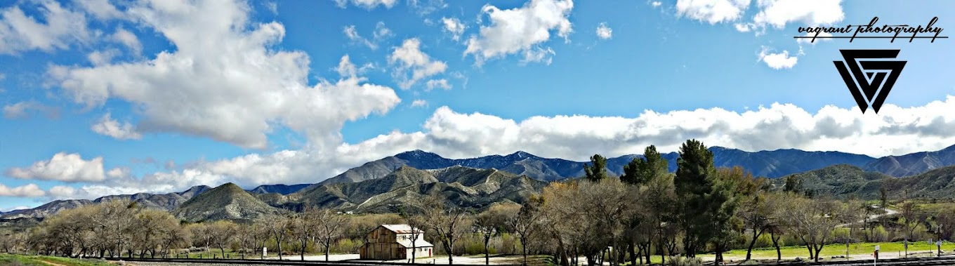 Polsa Rosa Ranch in Acton, CA — rattlesnake avoidance dog training location