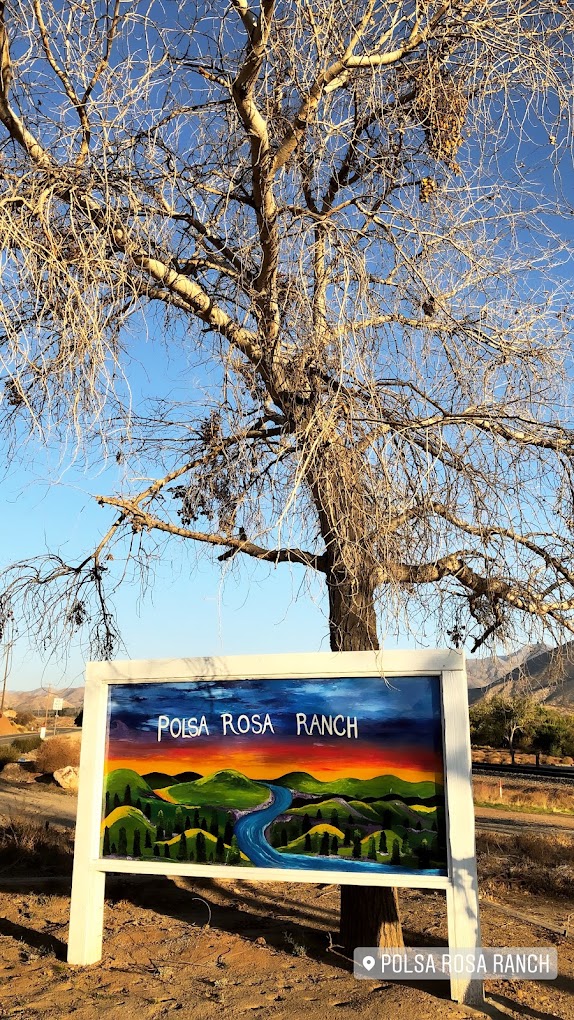 Polsa Rosa Ranch — working ranch dog training facility