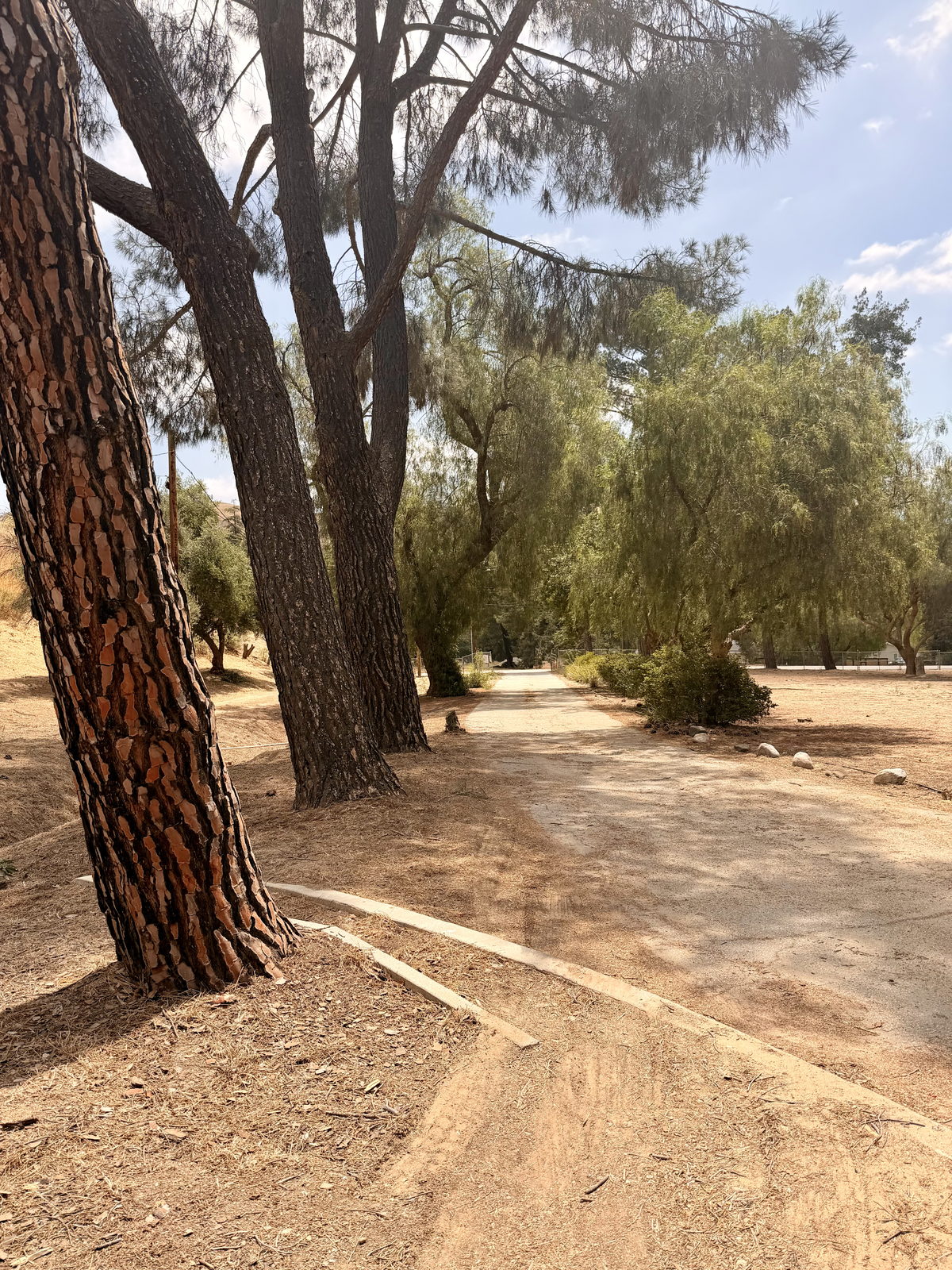 The SCV Rattlesnake Ranch — training grounds