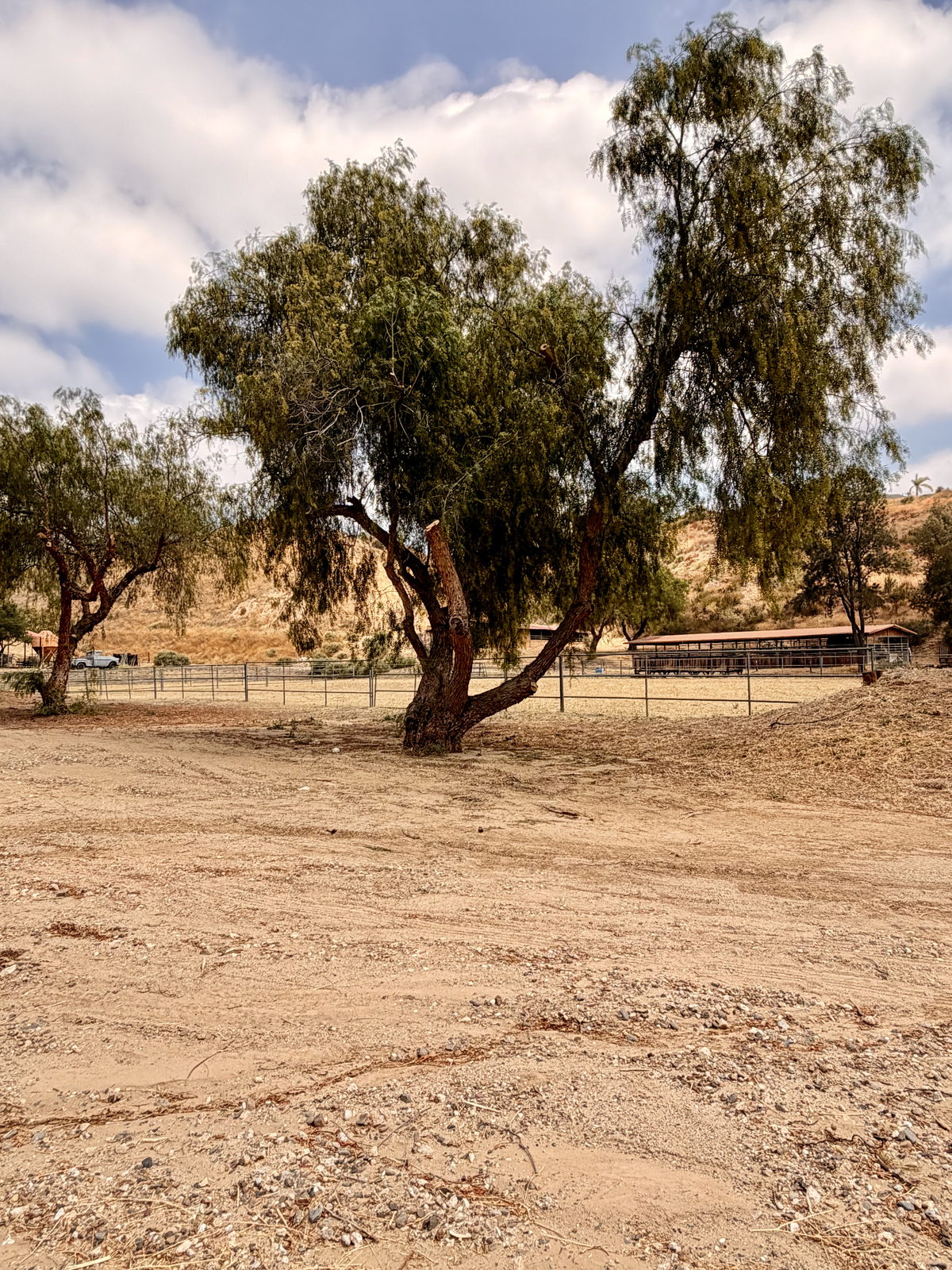 The SCV Rattlesnake Ranch — training grounds