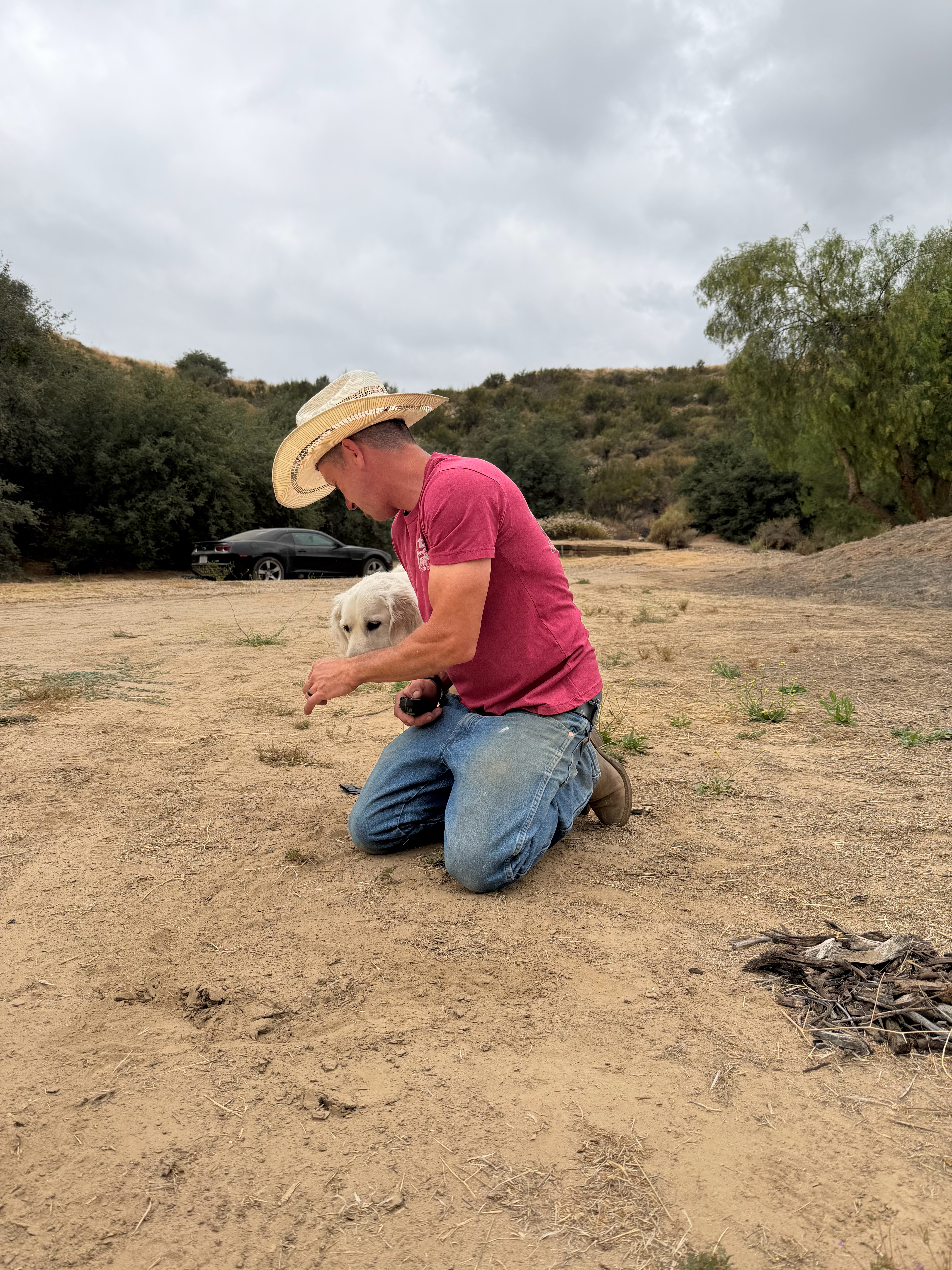 A Snake School trainer rewarding a dog with a treat at a decoy station on the ranch