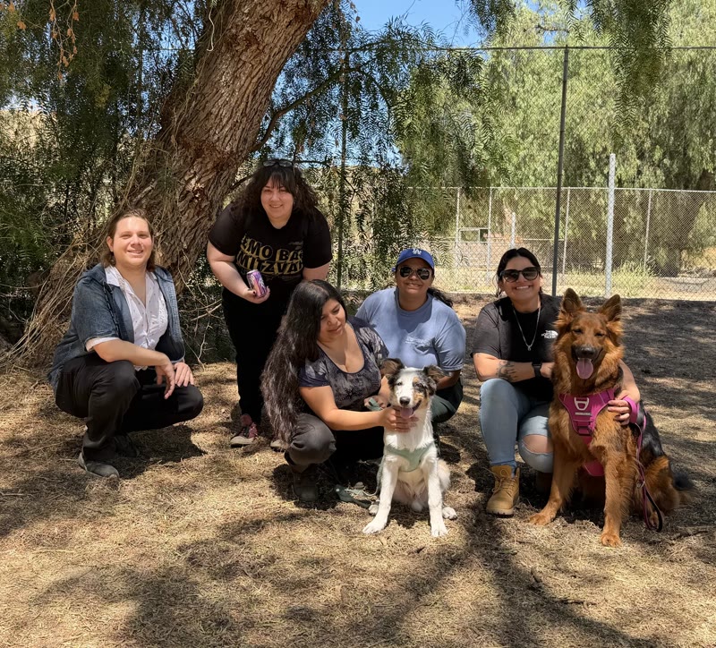 The Happy Pets Veterinary Center team with their dogs after rattlesnake avoidance training