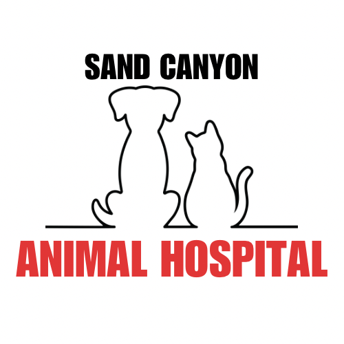 Sand Canyon Animal Hospital