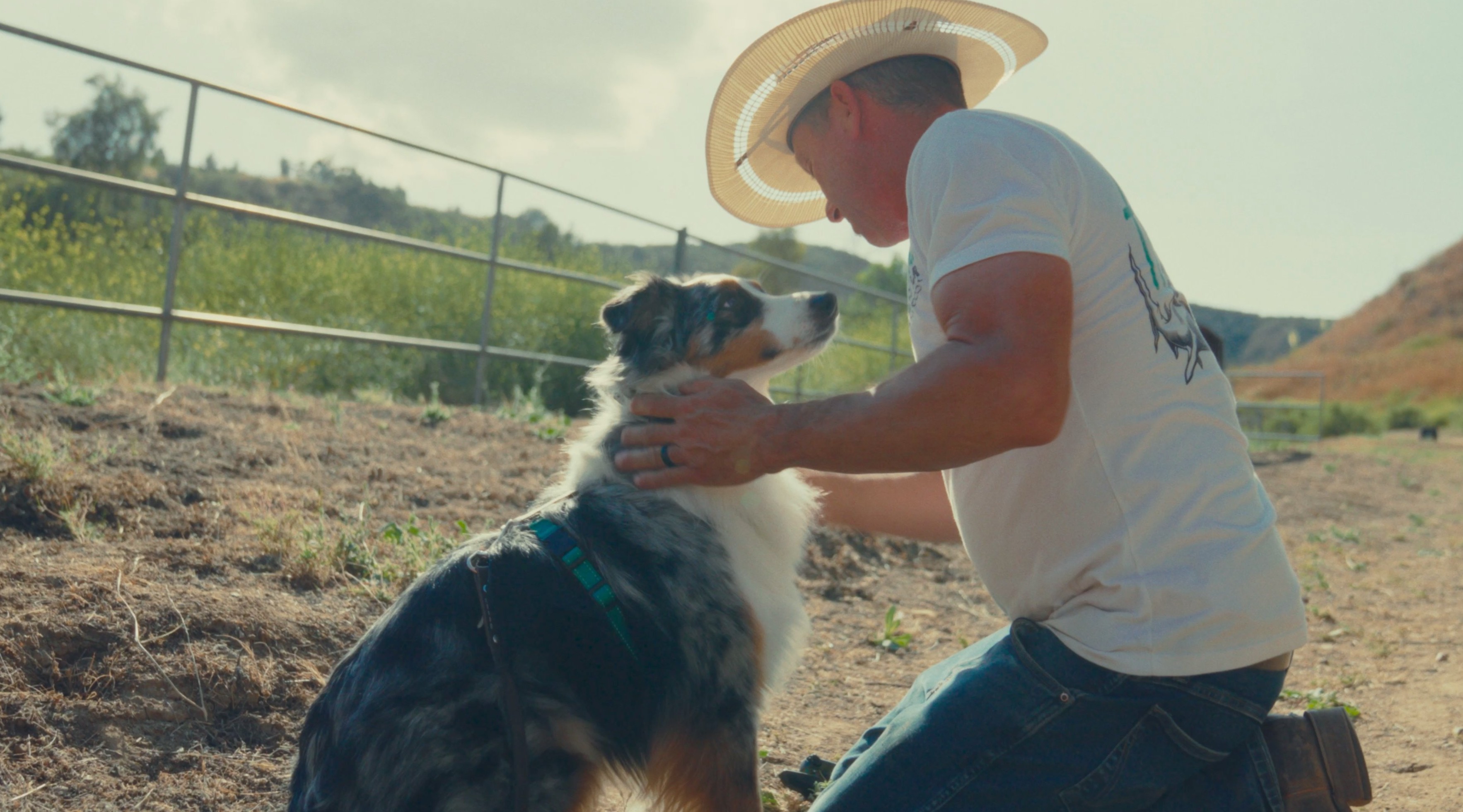 Lead Trainer Shane Armstrong — rattlesnake avoidance training
