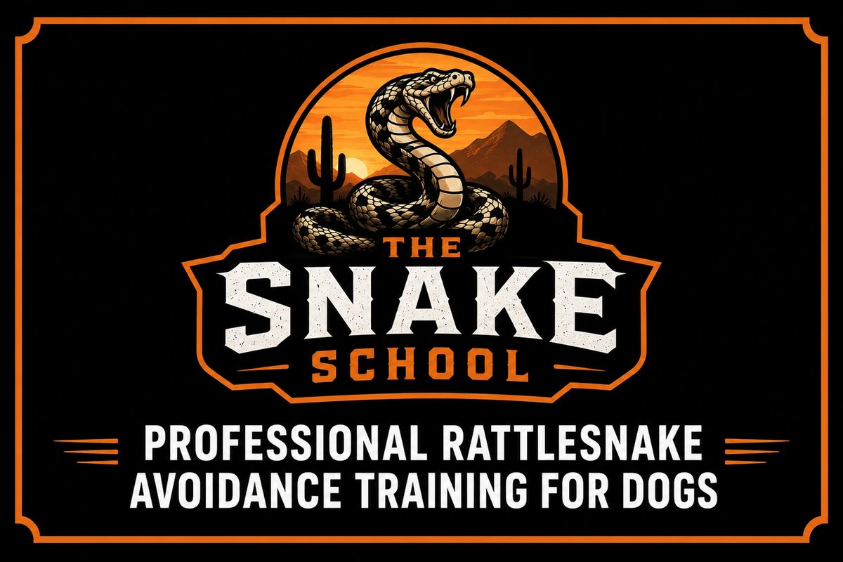 The Snake School — professional rattlesnake avoidance training for dogs