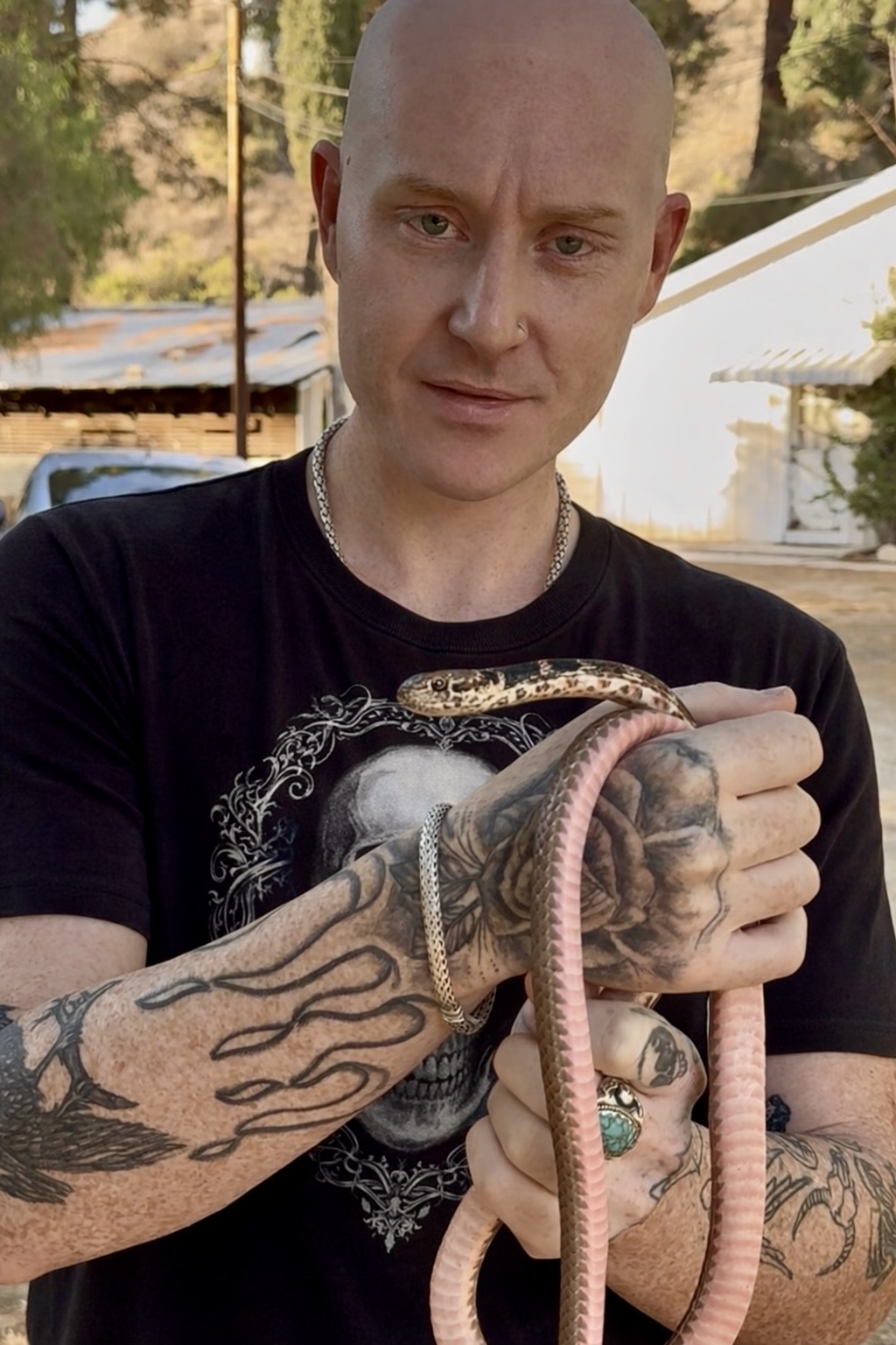 Scott Quashen handling a coachwhip snake