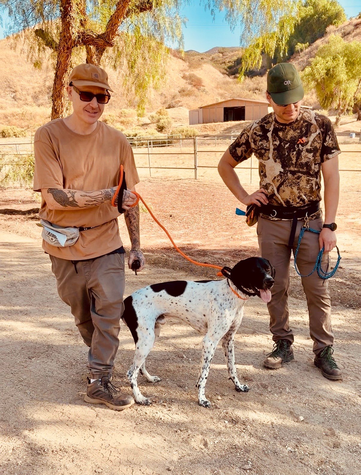 Scott Quashen mid-training session with a hunter and his pointer